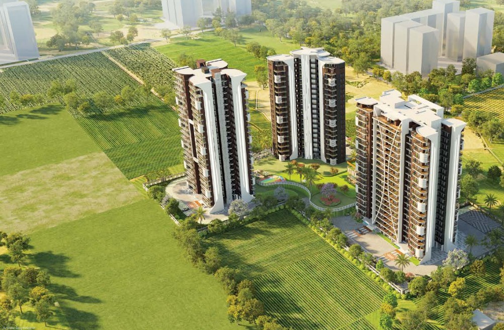 WhatsApp Image 2025-03-01 at 12.25.10 PM (1)